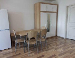 Lakás 1 szobák kiadó on Cluj-napoca, Zóna Andrei Muresanu