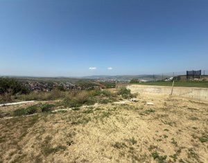 Maison 4 chambres à louer dans Cluj-napoca