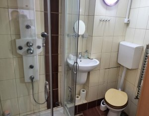 Apartment 3 rooms for rent in Cluj-napoca, zone Centru
