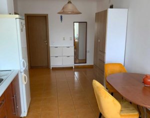Appartement 2 chambres à louer dans Cluj-napoca, zone Zorilor