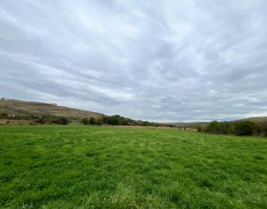 Teren 790mp, PUZ si HCL, S_Is (imobil servicii) colonia Sopor 