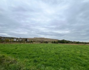 Teren 790mp, PUZ si HCL, S_Is (imobil servicii) colonia Sopor 