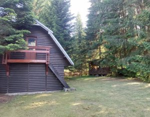 Casa de vacanta, teren 800 mp, Belis