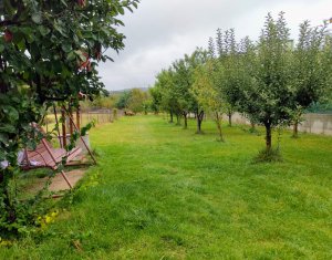 , 150m2 on Cluj-napoca, Zóna Bulgaria