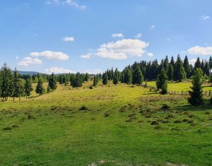 Teren intravilan 10.814 mp cu PUZ aprobat – Beliș