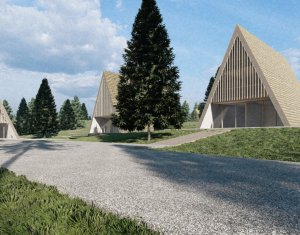 Teren intravilan 10.814 mp cu PUZ aprobat – Beliș