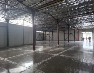 Spatiu depozitare sau productie 570 mp, renovat, zona Lidl Baciu 