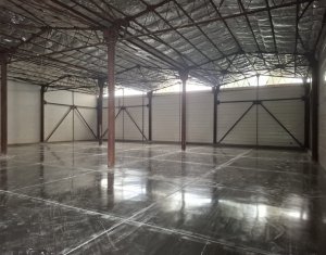 Spatiu depozitare sau productie 570 mp, renovat, zona Lidl Baciu 
