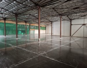 Spatiu depozitare sau productie 570 mp, renovat, zona Lidl Baciu 