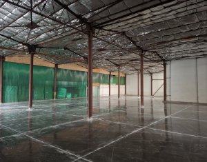 Spatiu depozitare sau productie 570 mp, renovat, zona Lidl Baciu 