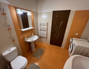 Appartement 2 chambres à louer dans Floresti