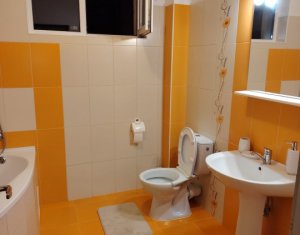 Appartement 2 chambres à louer dans Floresti