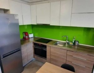 Appartement 1 chambres à louer dans Cluj-napoca, zone Andrei Muresanu