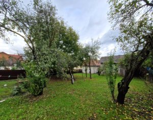 , 68m2 dans Cluj-napoca, zone Dambul Rotund