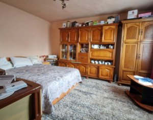 Maison 2 chambres à vendre dans Cluj-napoca, zone Dambul Rotund