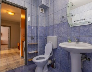 Appartement 2 chambres à vendre dans Floresti