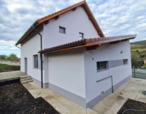 Casa individuala spatioasa – aer curat, liniste si confort in Popesti