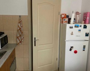 Appartement 1 chambres à louer dans Cluj-napoca, zone Buna Ziua