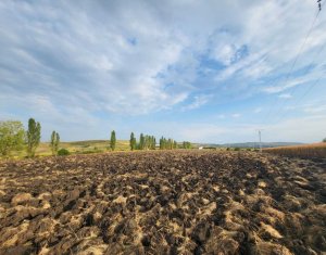 , 25248m2 dans Tureni