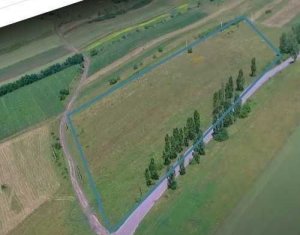 Terrain à vendre dans Tureni