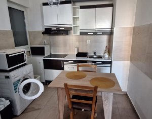 Appartement 2 chambres à louer dans Cluj-napoca, zone Buna Ziua