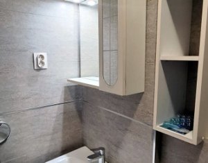 Appartement 2 chambres à louer dans Cluj-napoca, zone Buna Ziua