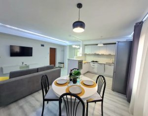 Appartement 2 chambres à louer dans Cluj-napoca, zone Europa