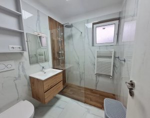 Appartement 2 chambres à louer dans Cluj-napoca, zone Europa