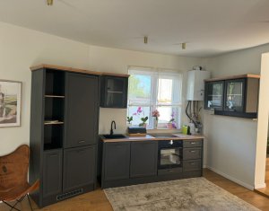 House 5 rooms for rent in Cluj-napoca, zone Andrei Muresanu