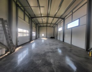 Inchiriere Hala Industriala 200 MP