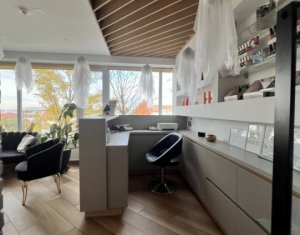 Spatiu comercial inchiriat, 123mp, 4 parcari, calea Turzii