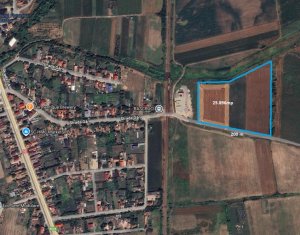 , 25896m2 in Rascruci