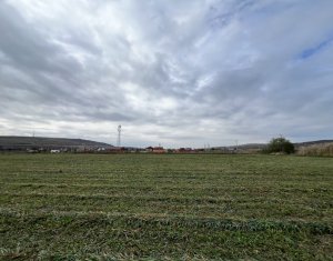 Teren 26.000mp, halta Rascruci drum european E576, jud. Cluj