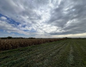 Teren 26.000mp, halta Rascruci drum european E576, jud. Cluj