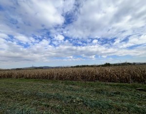 Teren 26.000mp, halta Rascruci drum european E576, jud. Cluj