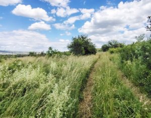Terrain à vendre dans Cluj-napoca, zone Sopor