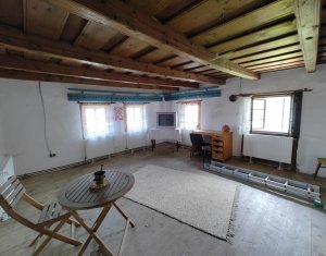 Maison 2 chambres à vendre dans Manastireni