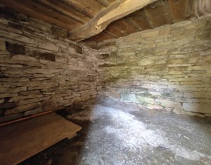 Maison 2 chambres à vendre dans Manastireni