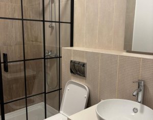 Appartement 2 chambres à louer dans Floresti