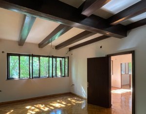 , 250m2 dans Cluj-napoca, zone Centru