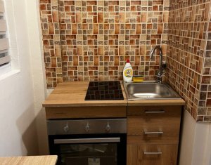 Appartement 2 chambres à louer dans Cluj-napoca, zone Zorilor