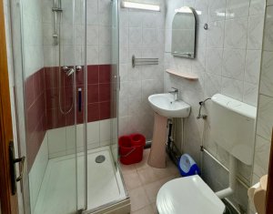 Appartement 2 chambres à louer dans Cluj-napoca, zone Zorilor