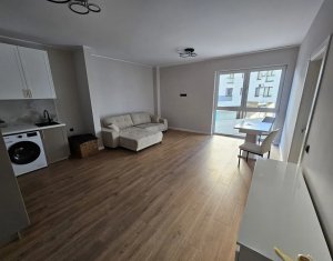 Appartement 2 chambres à louer dans Cluj-napoca, zone Bulgaria