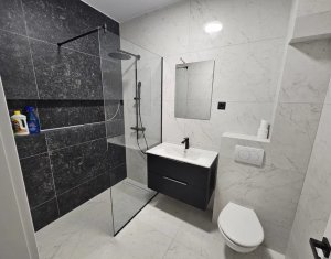 Appartement 2 chambres à louer dans Cluj-napoca, zone Bulgaria