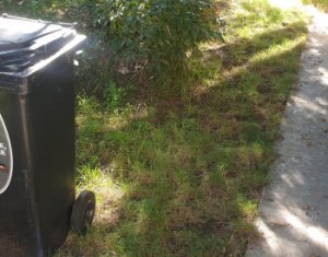 Maison 4 chambres à louer dans Cluj-napoca, zone Grigorescu