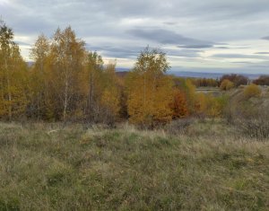 , 971m2 in Salicea, zona Centru