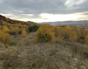 Teren intravilan – Salicea, 971 mp