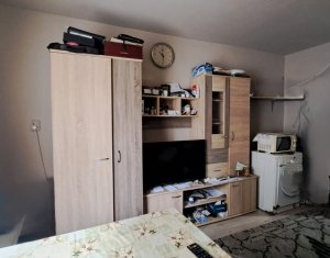 Appartement 1 chambres à louer dans Cluj-napoca, zone Dambul Rotund
