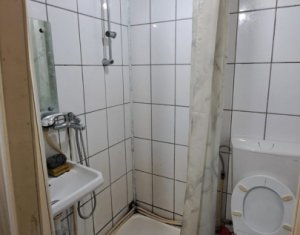 Appartement 1 chambres à louer dans Cluj-napoca, zone Dambul Rotund