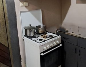 Appartement 1 chambres à louer dans Cluj-napoca, zone Dambul Rotund